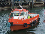 Noleen Tug Image